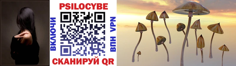 продажа наркотиков Пойковский Псилоцибиновые грибы Magic Shrooms